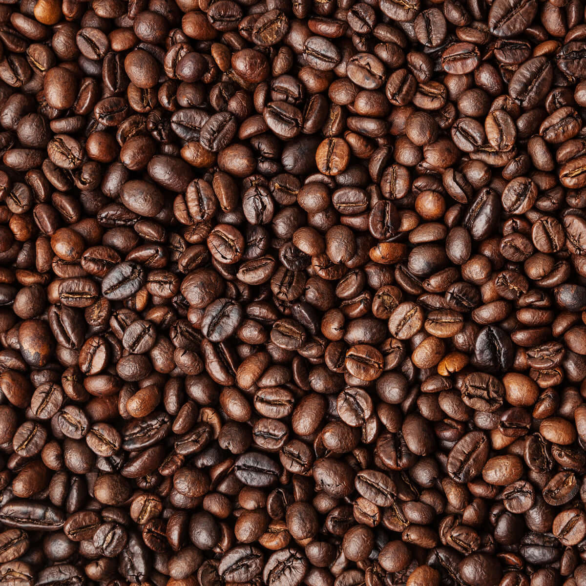 A close-up of True Delicious Coffee Beans for Espresso 1lb bag showcases perfectly roasted beans with rich brown tones and texture—ideal for crafting authentic Espresso Napoletano.